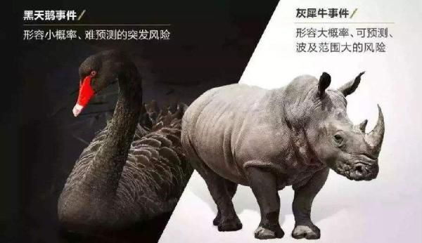 黑天鵝與灰犀牛事件簡(jiǎn)略特點(diǎn)
